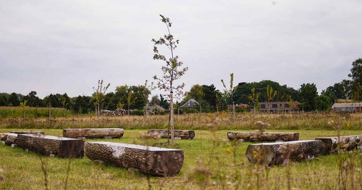 экологическое кладбище, захоронение, ритуальные услуги