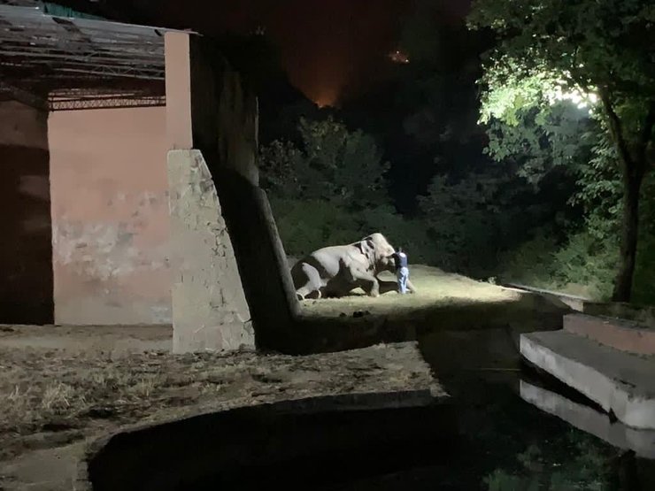 Последняя ночь Каавана в Исламабаде