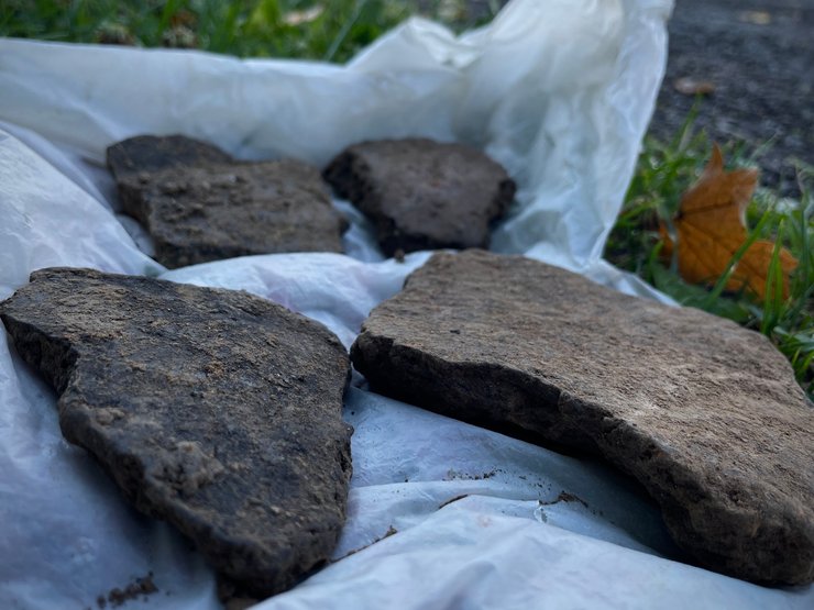 Ивано-Франковская область, Крылос, село Крылос, археология, археологические раскопки, раскопки, история Украины