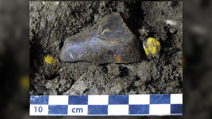 резная фигурка, древнее животное