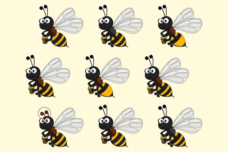 Визуальная головоломка, пчелы, задачка с пчелами, найди отличия, проверка зрения, проверка внимания, тест на наблюдательность, высокий IQ,