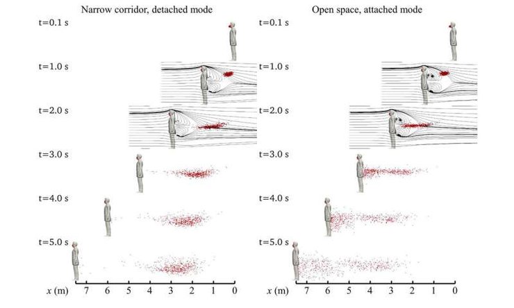 коронавирус, коридор
