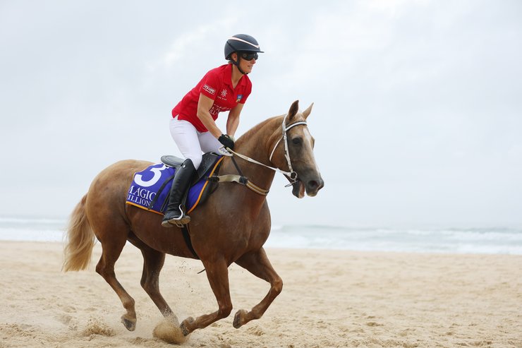 Зара Тиндалл, лошадь, скачки