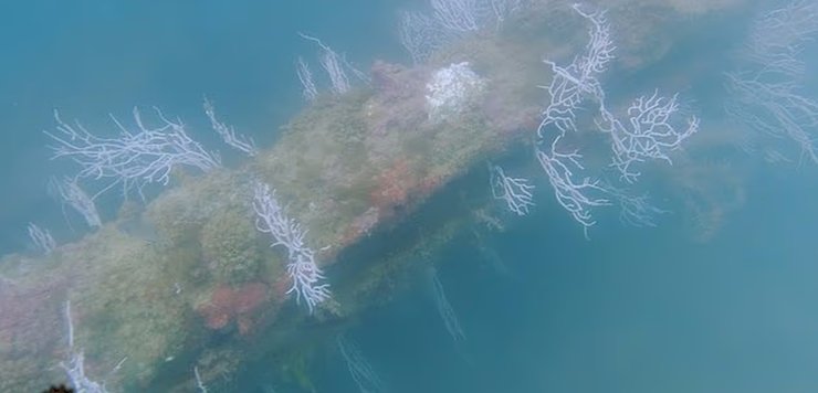 стены атлантиды