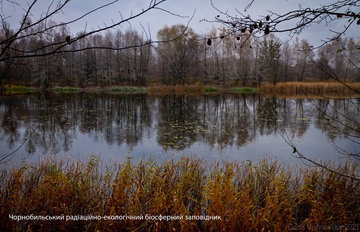 заповедник, зона отчуждения, ЧАЭС