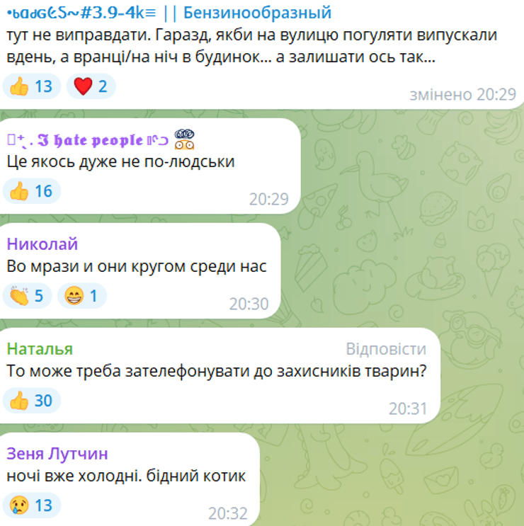 Львів, кіт, жорстоке поводження з тваринами