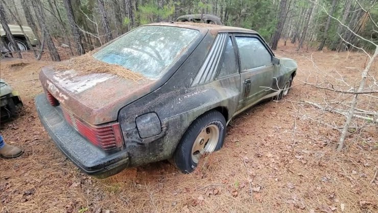 Форд Мустанг 1982 года, Форд Мустанг, Форд Мустанг