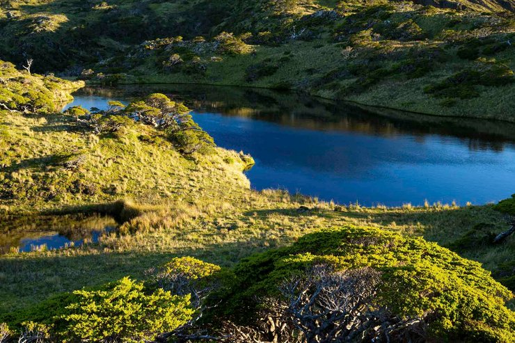 острів, чилі, приватний острів