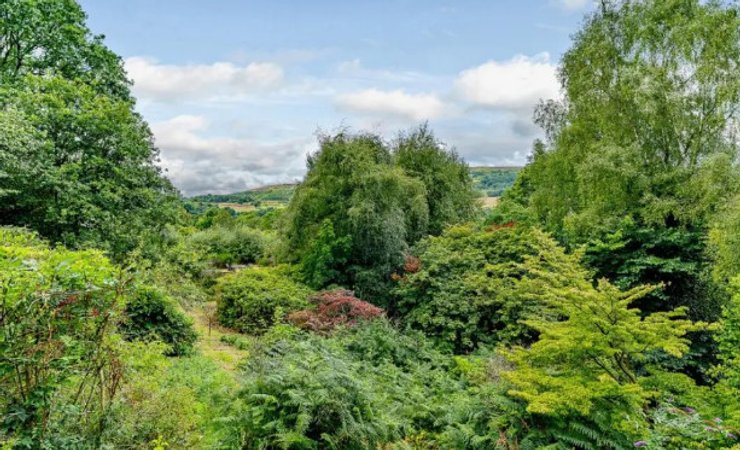 В садах много редких растений и особых видов