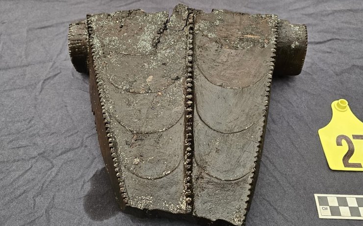 Новая Зеландия, вака, история, каноэ, древесина, лодка, раскопки, открытия