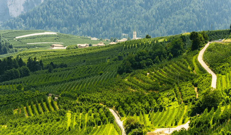 Село в Італії, Вермільйо, Валь-ді-Соль, Трентіно, регіон в Італії, доступне житло в Італії, переїзд до Італії, гірські села, село в альпах, пропонують гроші за переїзд