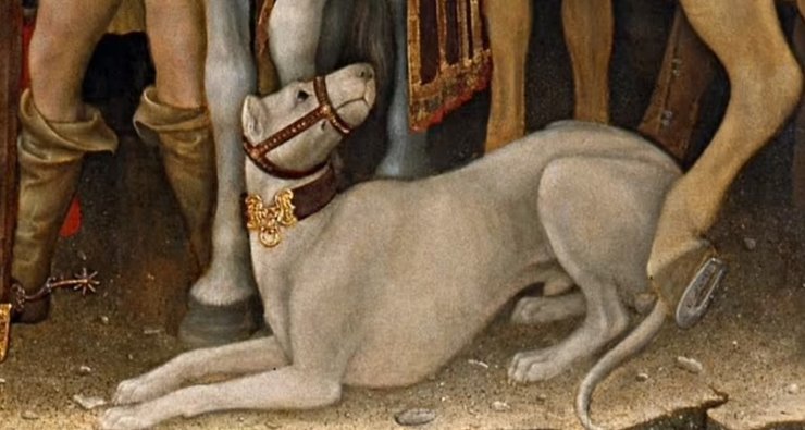 алаунт, породы собак, исчезнувшие породы собак, редкие породы собак, собаки, домашние собаки, охотничьи собаки,