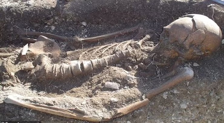 скелет кістки кістки бразилія