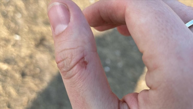 львов, задержание, ТЦК