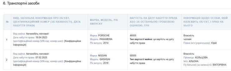 Алена Кольцова декларация