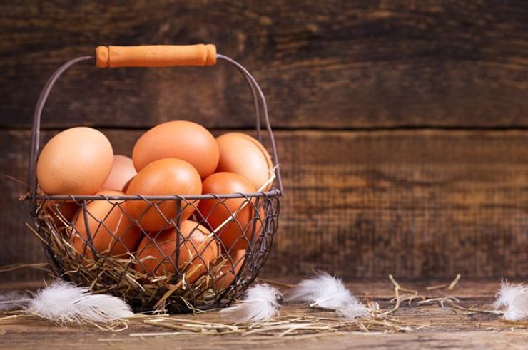 птичий грипп, h5n8, новый штамм, заражение, птицефабрика, россия