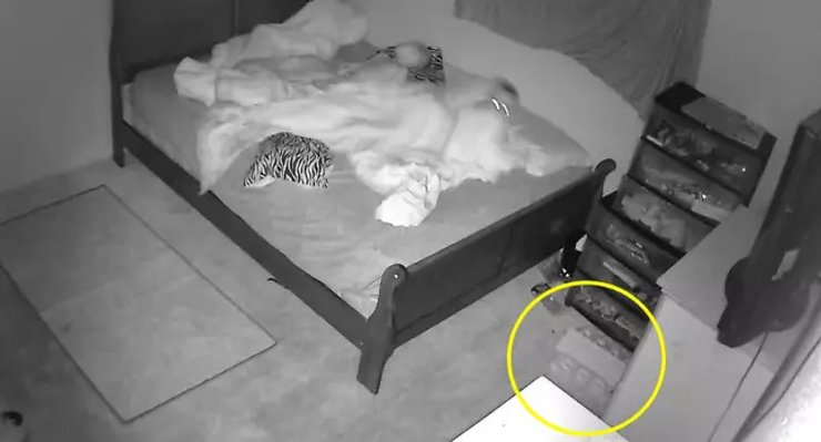 Скрытая камера, дети, призрак, паранормальное, дети спят, запись