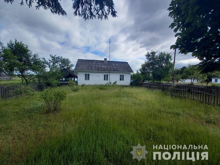 Маринин, полицейский