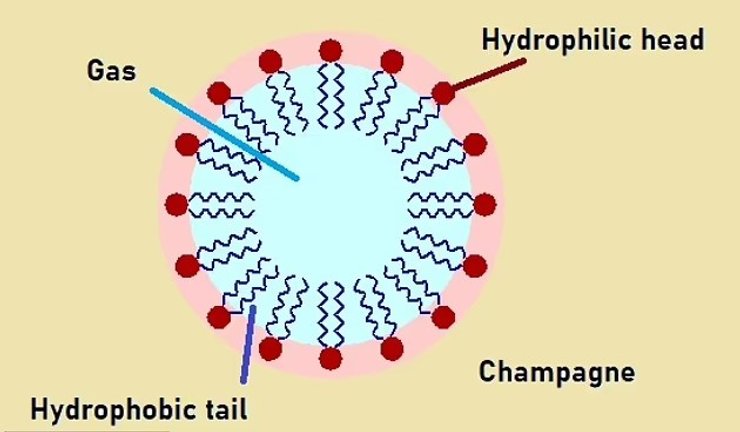 шампанкое пузырьки физика