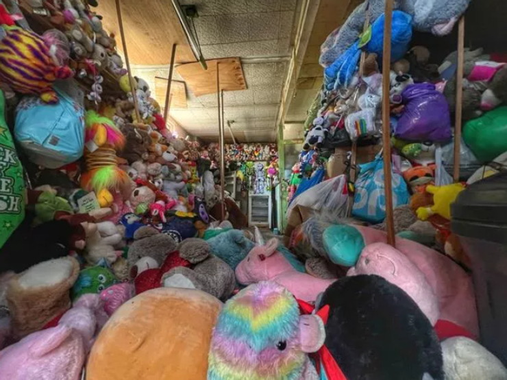 Внутри заброшенного дома нашли тысячи игрушек, сюрприз внутри старого дома, фото, открытия, курьезы