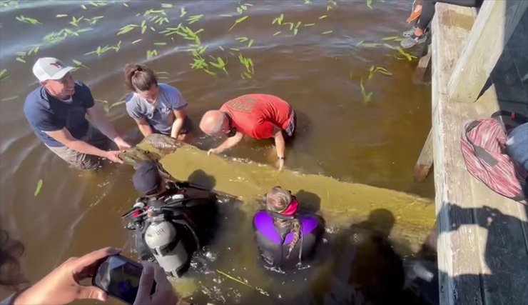 каноэ, северная каролина, индейцы, ирокезы, племена индейцев, археологи, раскопки, исследования, племена сша, коренные жители, коренное население