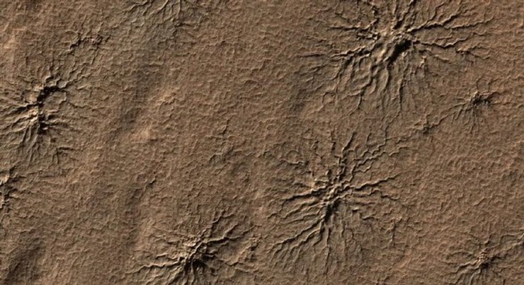 павуки Марс