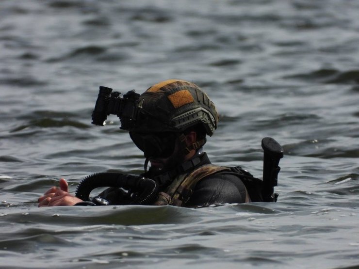 Освобождение Змеиного