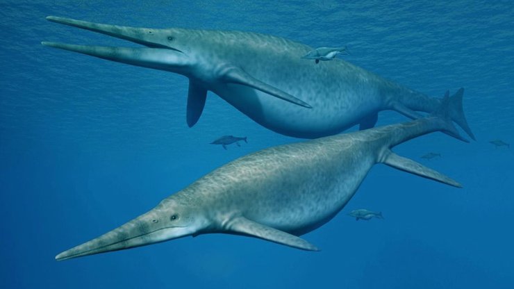 їхтіозаври, вода, реконструкція, фото