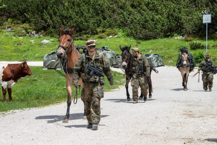 німецькі солдати та коні