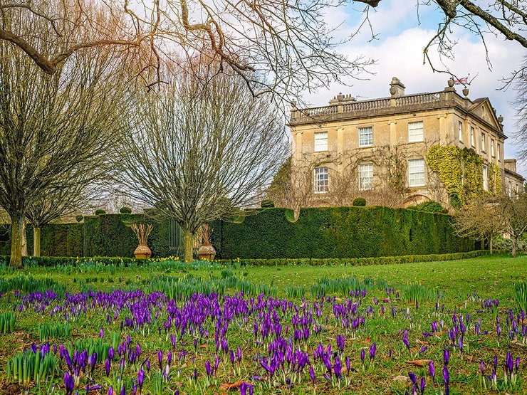 Король Чарльз, модная фотосессия, Harper's Bazaar, Хайгроув, первая модная фотосессия в частно королевской резиденции, сады хайгроув