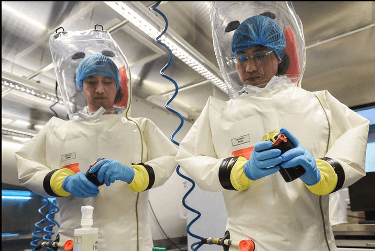 вирус COVID-19, происхождение COVID-19, Ухань, летучая мышь