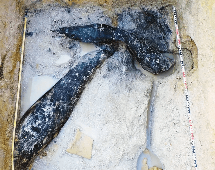 Деревянные изделия хорошо соединены, что говорит о вероятном создании фундамента для жилища