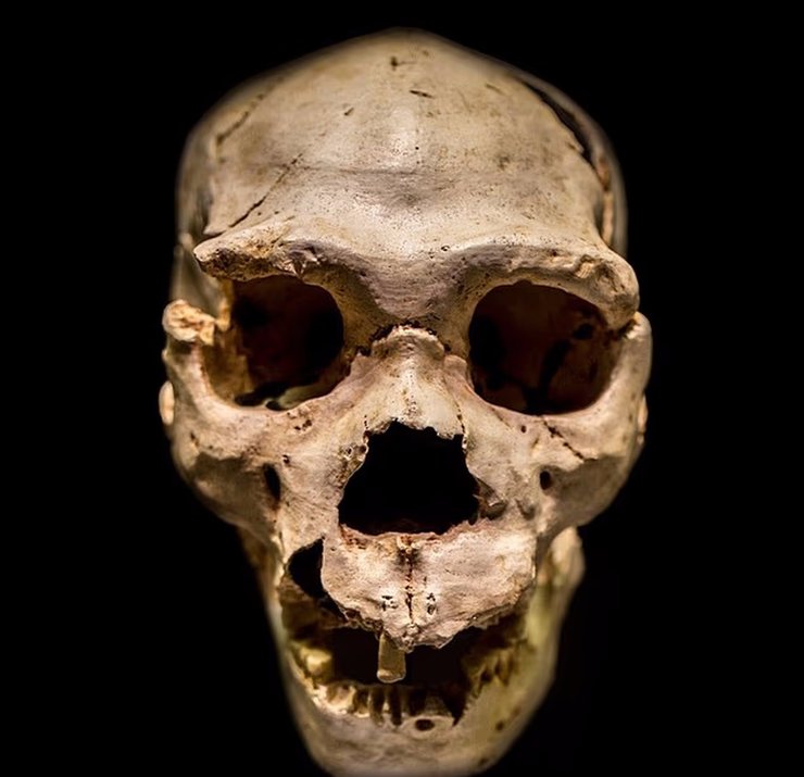 древний череп в пещере