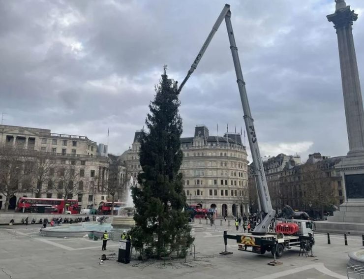 Новогодняя елка в Великобритании возмутила горожан, что говорят люди, рождественское дерево в Лондоне