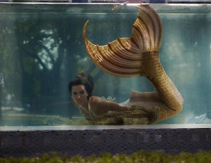 Фелиция Флаэрти, русалка, работа русалкой