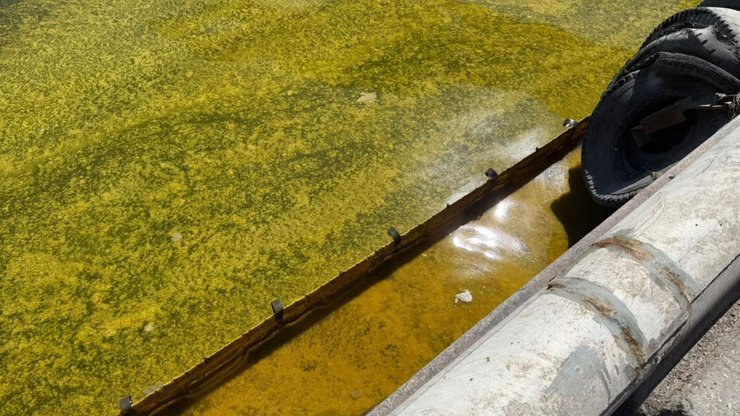 Добавление публикации | Focus