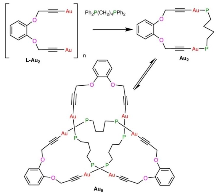 самый тугой узел, золото