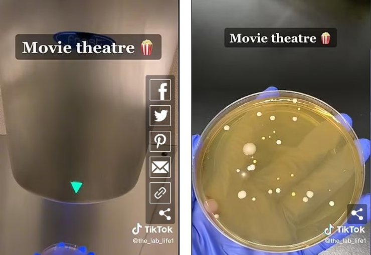 образцы театр