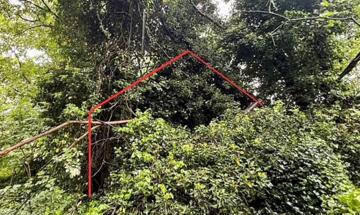 Покинутий будинок, купити нерухомість, фото, аукціони, ремонт, продаж житла, Велика Британія, капсула часу