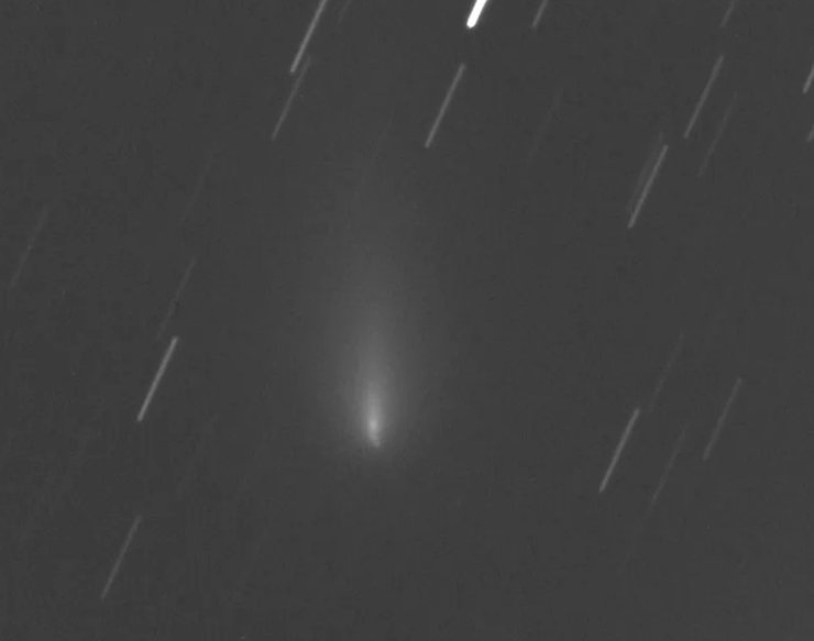 комета C/2019 Y4