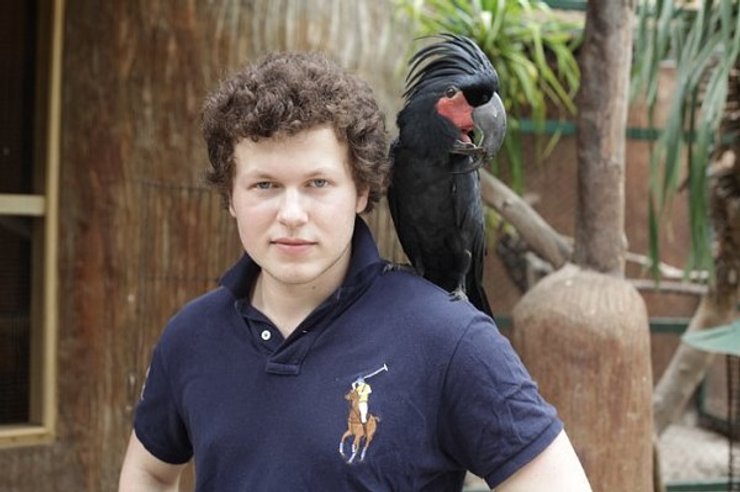 дети владимира соловьева