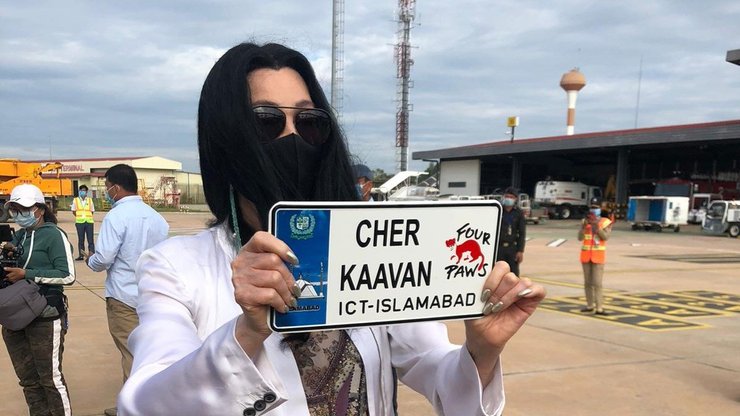 Певица Шер с именным номерным знаком Каавана/Все фото: Twitter Cher