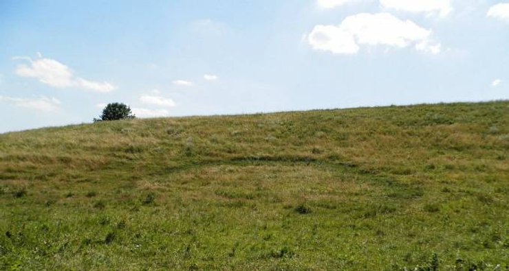 Один из мистических кругов вблизи Малой Бугайки