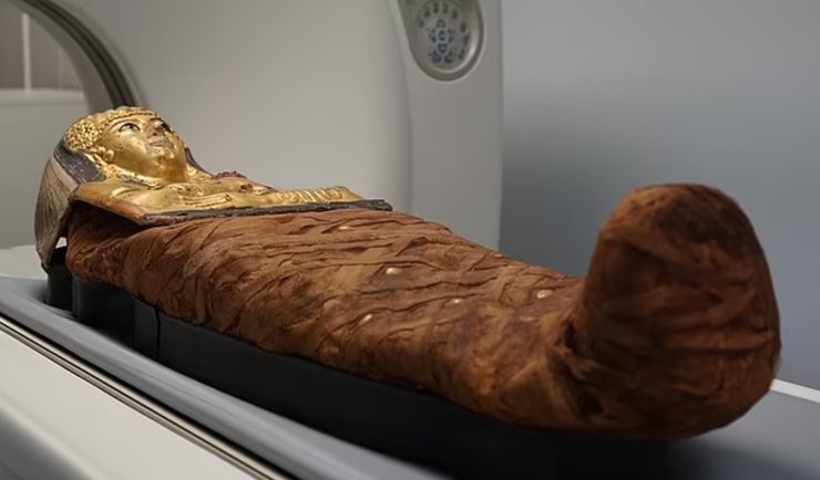 мумия, саркофаг