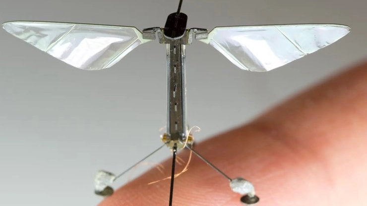 дрон, БПЛА, Robobee