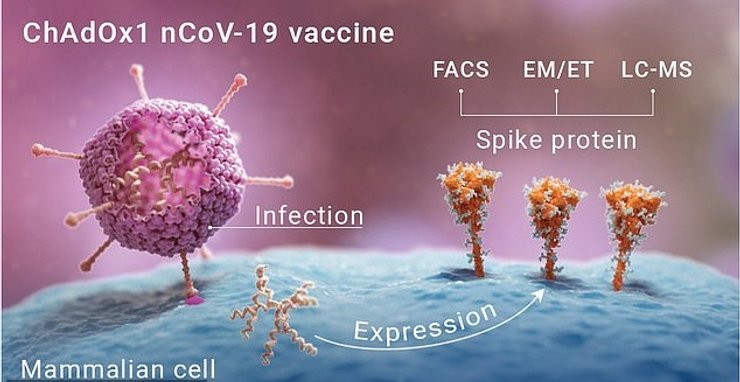 коронавирус, вакцина, AstraZeneca, Covid-19