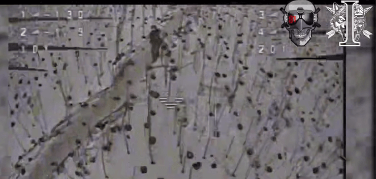 Солдат КНДР в поле зари украинского дрона