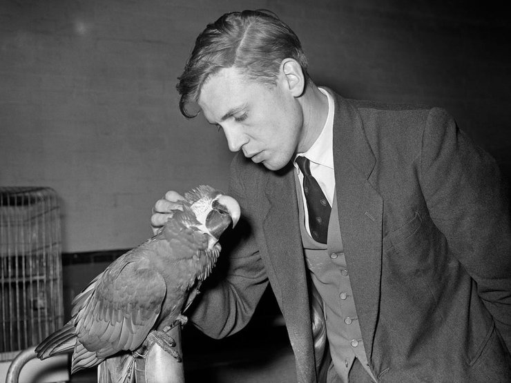 Дэвид Аттенборо в 1958 году