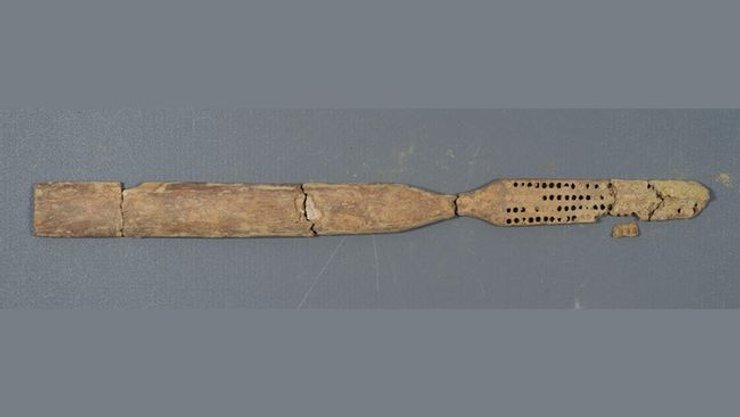 Археологическая находка, солдаты Конфедерации, остатки гражданской войны, место битвы, скелетные останки, ампутированные конечности, исторические артефакты, битва при Вильямсбурге, 3D фотограмметрия, идентификация солдат.