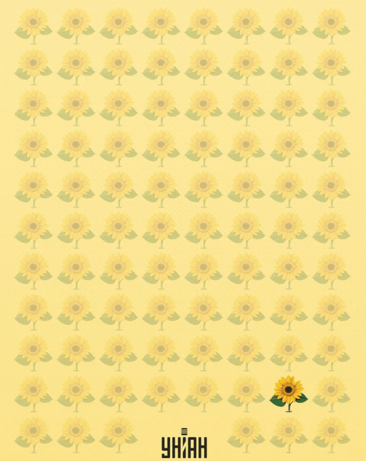 подсолнухи, подсолнухи, головоломка